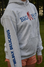 Load image into Gallery viewer, Gray USA Bigfoot Hoodie
